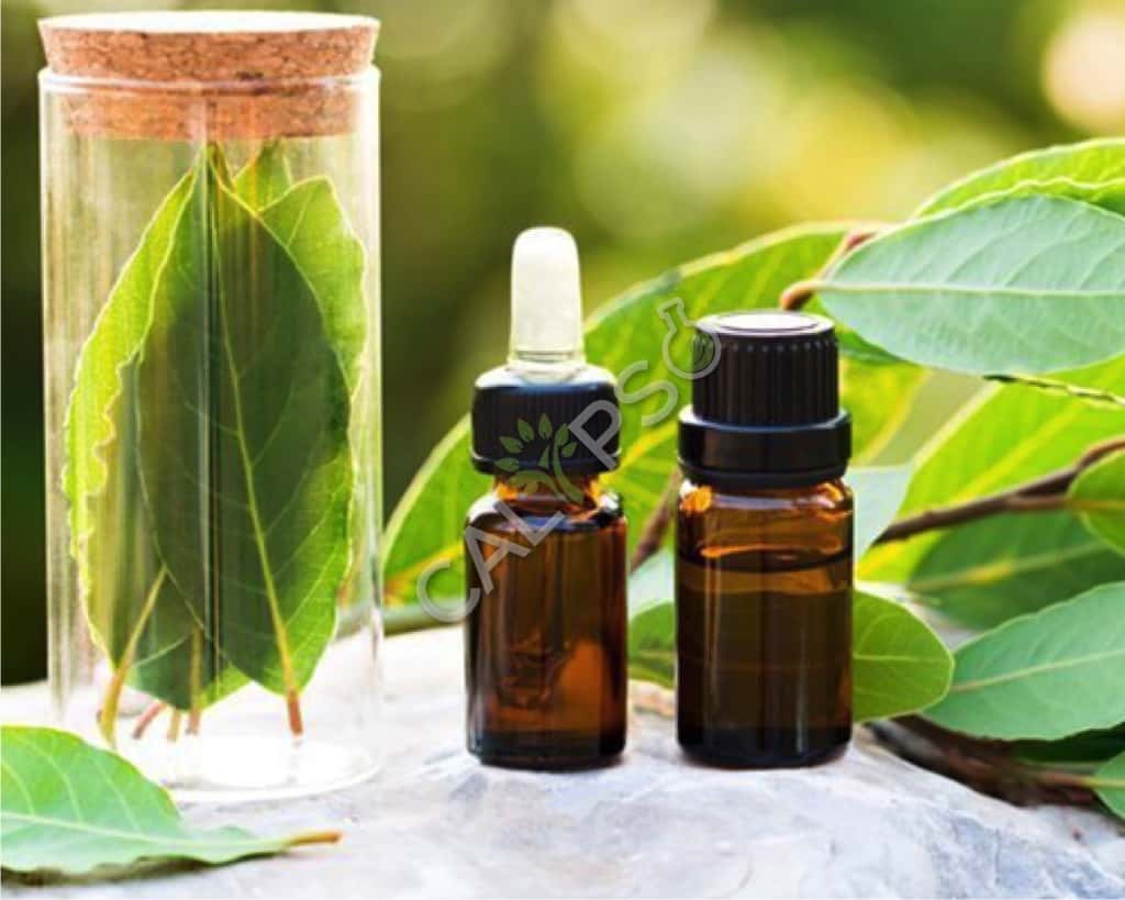 Bay Leaf Natural Essential Oil